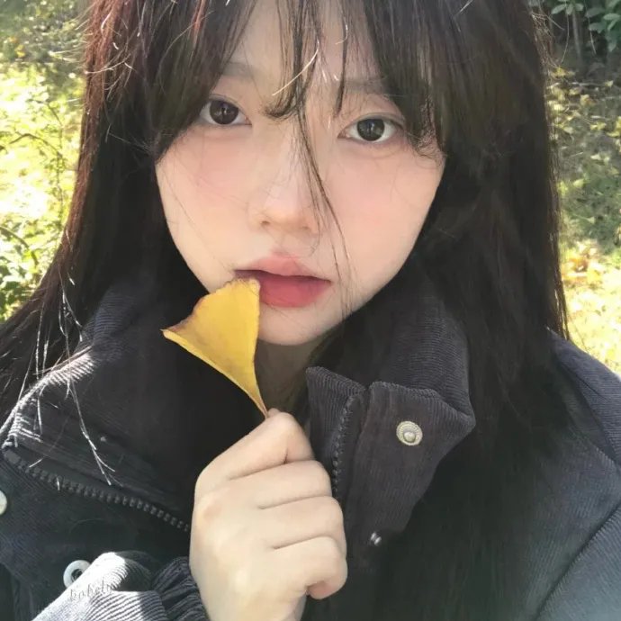 战火浮生录